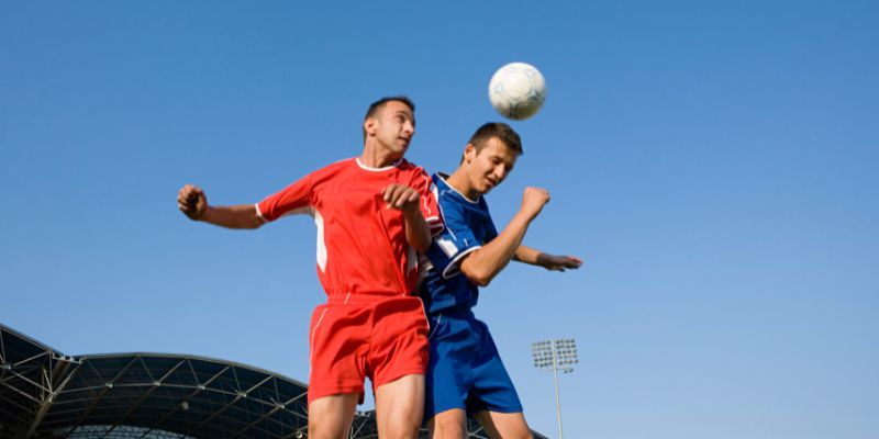 Vì sao nên theo dõi kết quả bóng đá Ligue 1 hàng ngày?